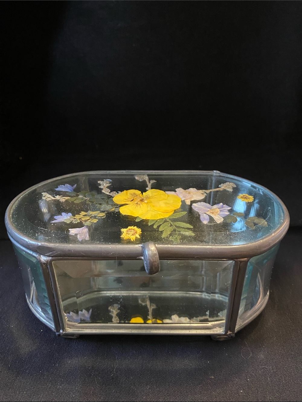 Vintage Footed Trinket Jewelry Box Leaded Mirrored Glass Pressed & Dried Flowers